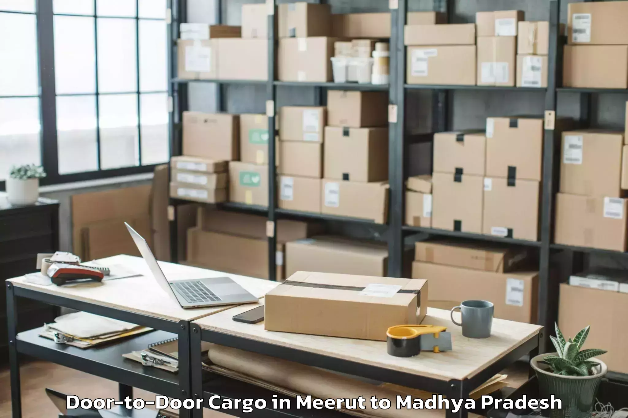 Professional Meerut to Sehore Door To Door Cargo